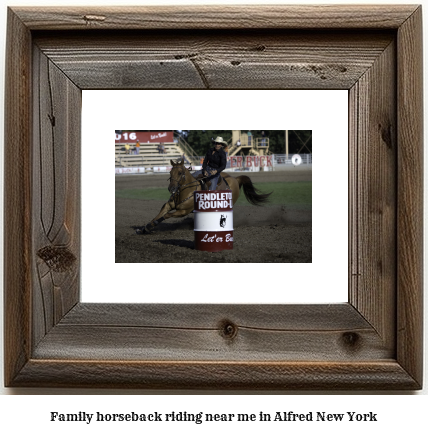 family horseback riding near me in Alfred, New York